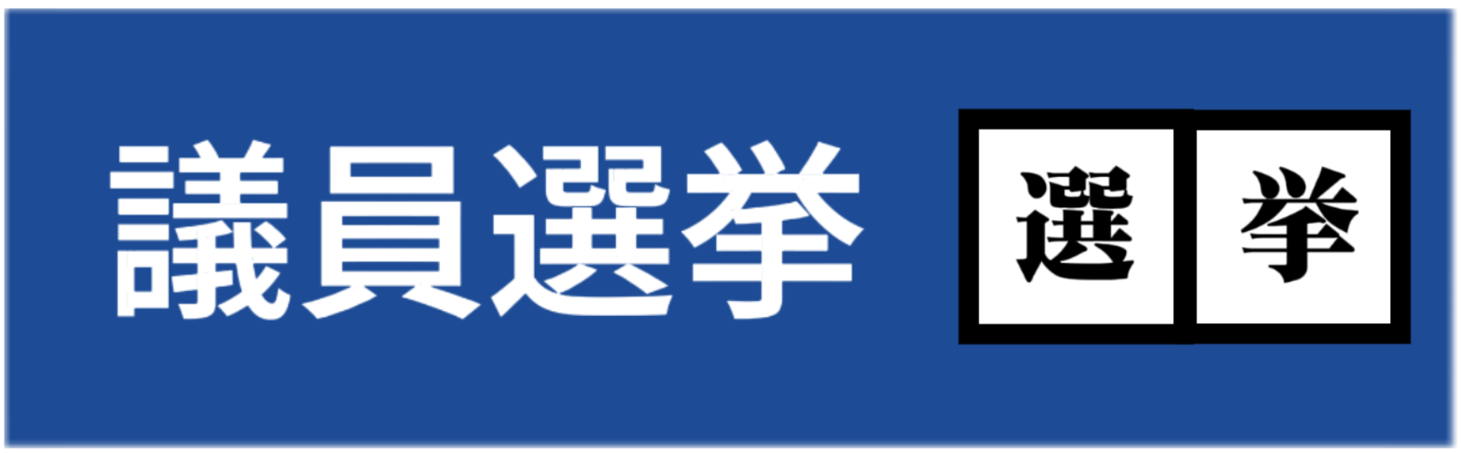 議員選挙